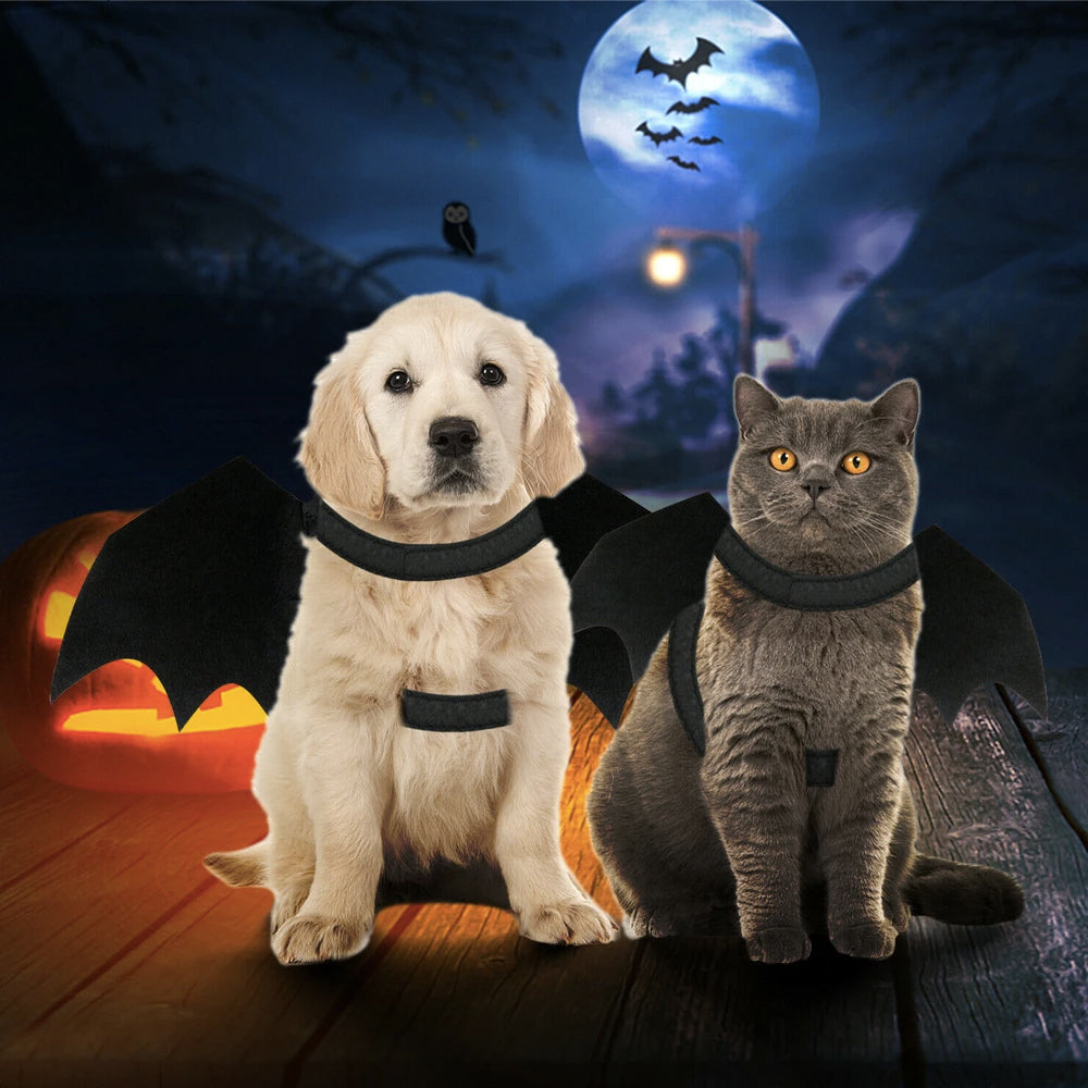 Halloween Bat Wings Costume for Dogs and Cats