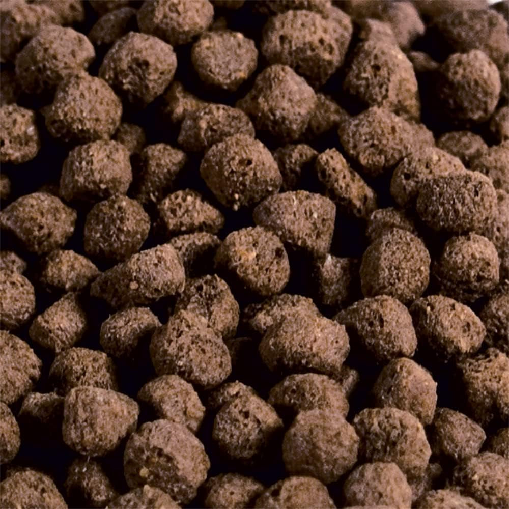 Spring & Fall Fish Food