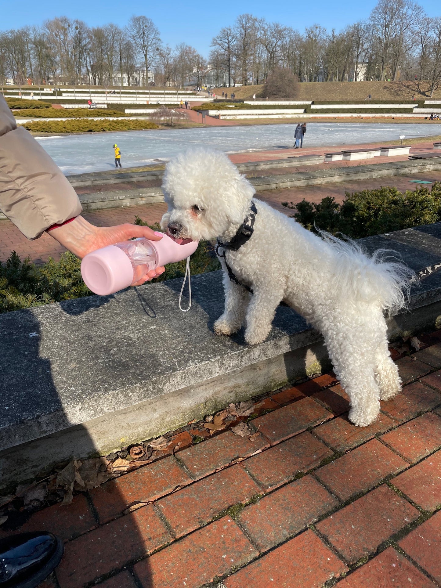 Portable Dog & Cat Water or Food Bottle with Built-In Dispenser