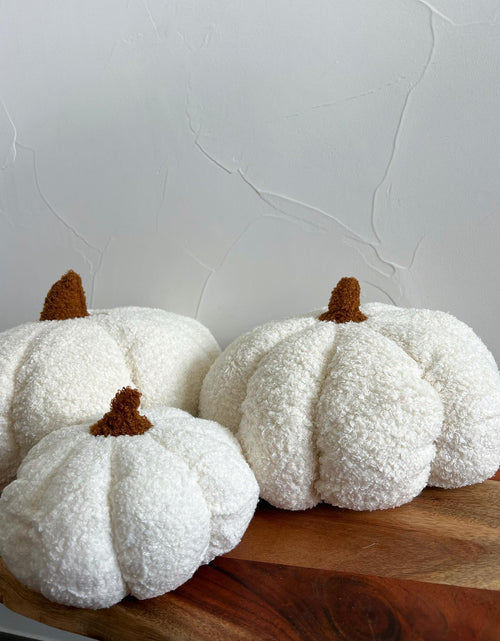 Load image into Gallery viewer, Plush Decorative Pumpkins | Soft Textured Fall Décor in Assorted Sizes
