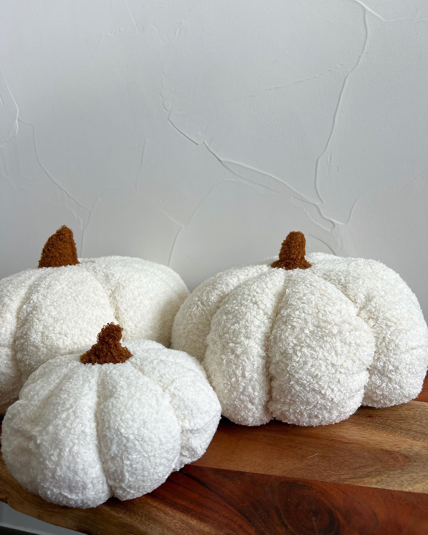 Plush Decorative Pumpkins | Soft Textured Fall Décor in Assorted Sizes