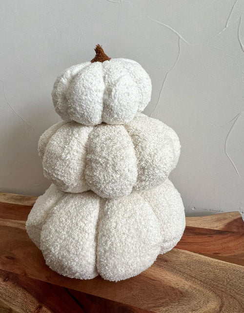 Load image into Gallery viewer, Plush Decorative Pumpkins | Soft Textured Fall Décor in Assorted Sizes
