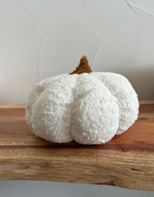 Load image into Gallery viewer, Plush Decorative Pumpkins | Soft Textured Fall Décor in Assorted Sizes
