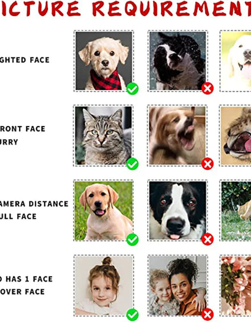 Load image into Gallery viewer, Personalized Custom Print Your Photo Pet Face Socks Socks Logo Fashion
